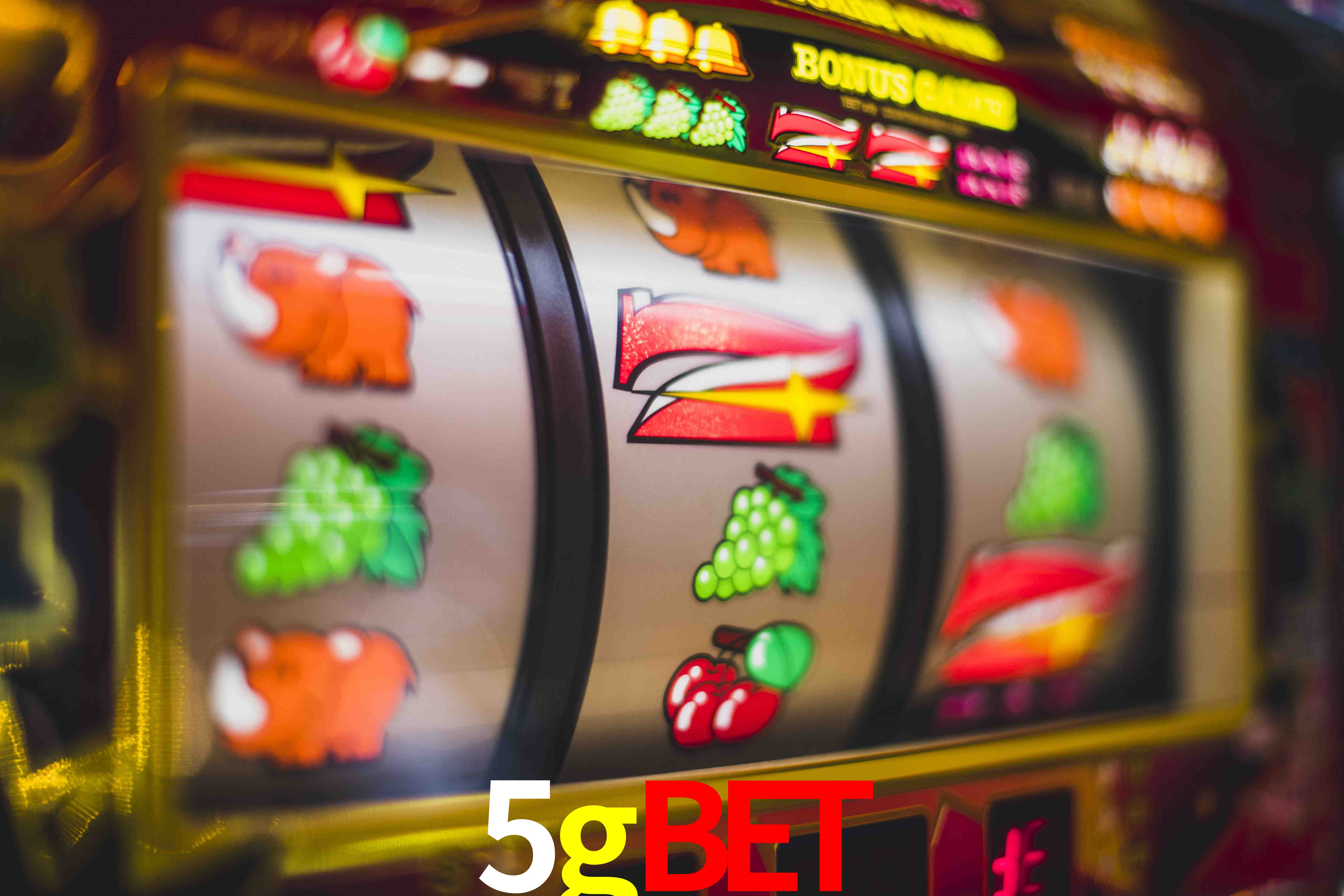 Sports Statistics 5gbet